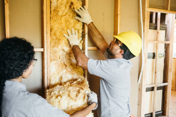 Best Insulation for New Construction  in Pontiac, IL